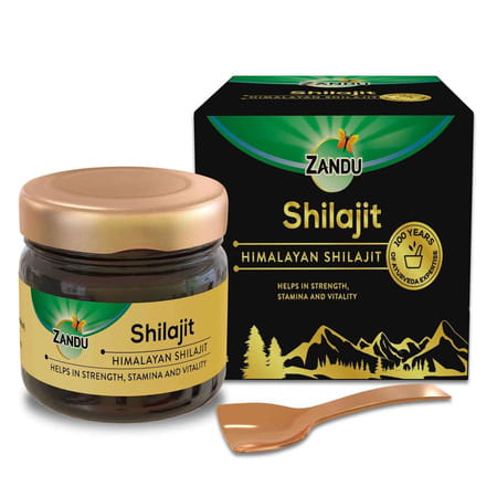 Zandu Himalayan Shilajit Resin 20 Gm