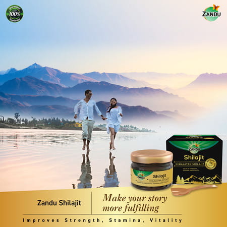 Zandu Himalayan Shilajit Resin 20 Gm
