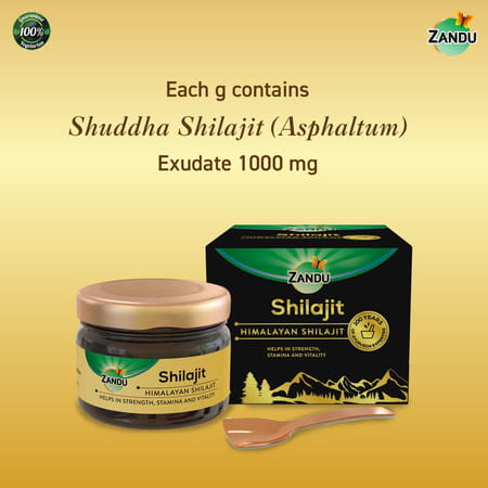 Zandu Himalayan Shilajit Resin 20 Gm