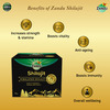 Zandu Himalayan Shilajit Resin 20 Gm