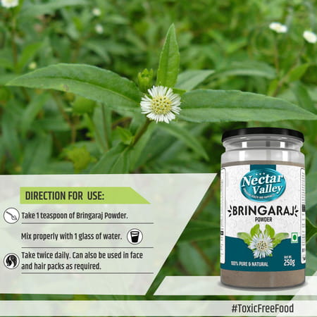 Nectar Valley Bhringraja Powder (Eclipta Alba) Pure & Organically Processed Fine Powder - 250g
