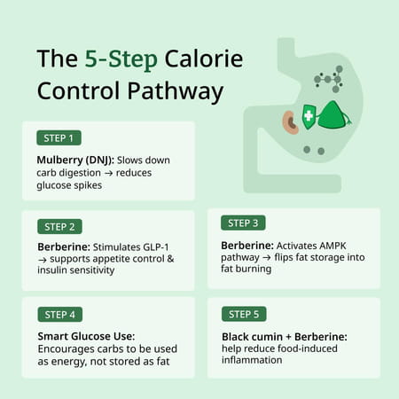 Moderate Calorie Crusher |Supports Weight Management |Reduces Calorie & Carbs Absorption By Upto 40%