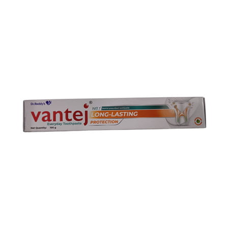 Vantej Long Lasting Protection Mint Flavour Everyday Toothpaste 100gm