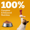Pedigree Adult Wet Dog Food | Chicken & Liver Chunks In Gravy | 70 G (Pack Of 30)