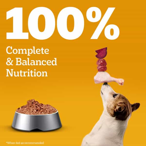 Pedigree Adult Wet Dog Food | Chicken & Liver Chunks In Gravy | 70 G (Pack Of 30)