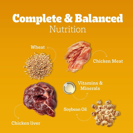 Pedigree Adult Wet Dog Food | Chicken & Liver Chunks In Gravy | 70 G (Pack Of 30)