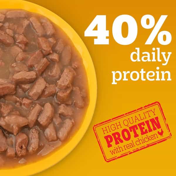 Pedigree Adult Wet Dog Food | Chicken & Liver Chunks In Gravy | 70 G (Pack Of 30)
