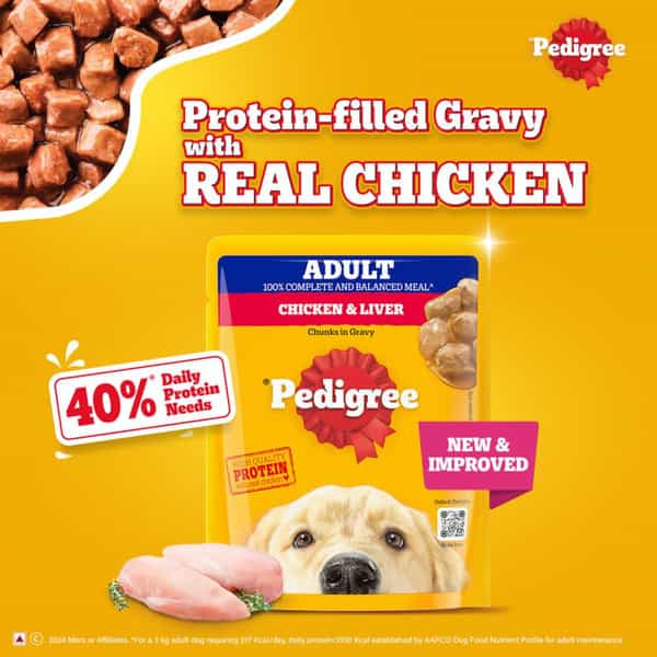 Pedigree Adult Wet Dog Food | Chicken & Liver Chunks In Gravy | 70 G (Pack Of 30)