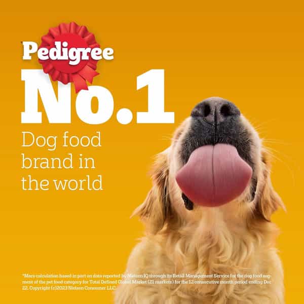Pedigree Adult Wet Dog Food | Chicken & Liver Chunks In Gravy | 70 G (Pack Of 30)