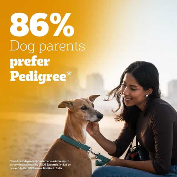 Pedigree Adult Wet Dog Food | Chicken & Liver Chunks In Gravy | 70 G (Pack Of 30)