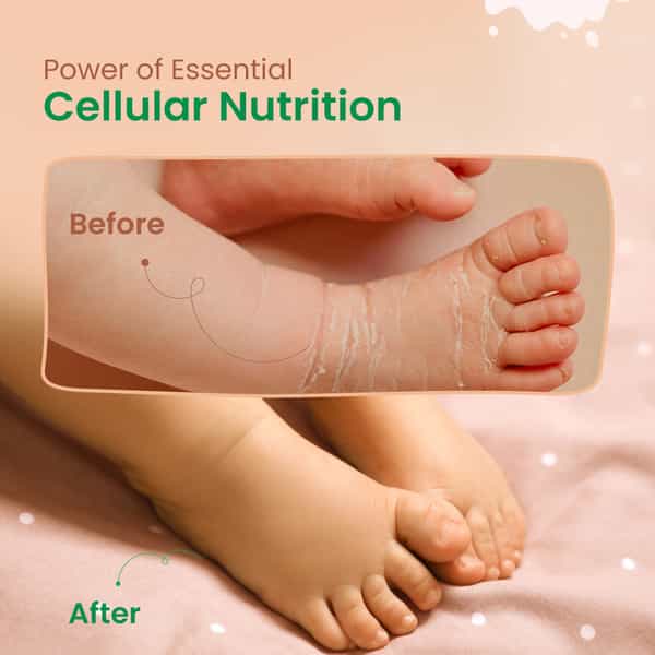 Nat Habit Baby Body Butter- Body Malai | Tender Coconut 120Ml