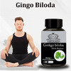 Earth King Ginkgo Biloba Capsule With Bramhi Extract- 500Mg 60 Capsules
