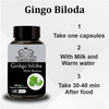 Earth King Ginkgo Biloba Capsule With Bramhi Extract- 500Mg 60 Capsules