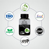 Earth King Ginkgo Biloba Capsule With Bramhi Extract- 500Mg 60 Capsules
