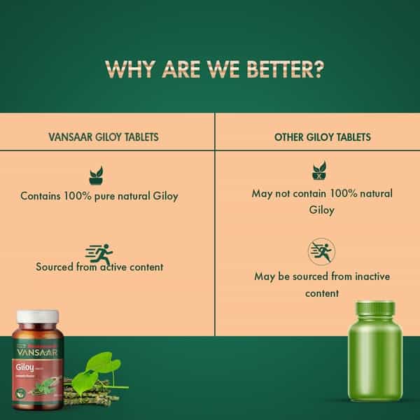 Vansaar Giloy Tablets 60 Tablet