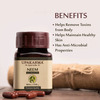 Upakarma Ayurveda Pure Herbs Neem Capsules-550 Mg 90 Veggie Capsules