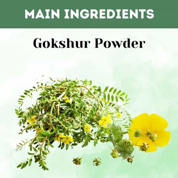Herbal Hills Gokshur Powder | Gokshura Powder | Tribulus Terrestris Fruit Powder (1 Kg Single Pack)