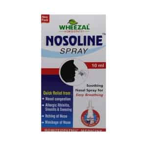 Wheezal Nosoline Nasal Spray 10 Ml