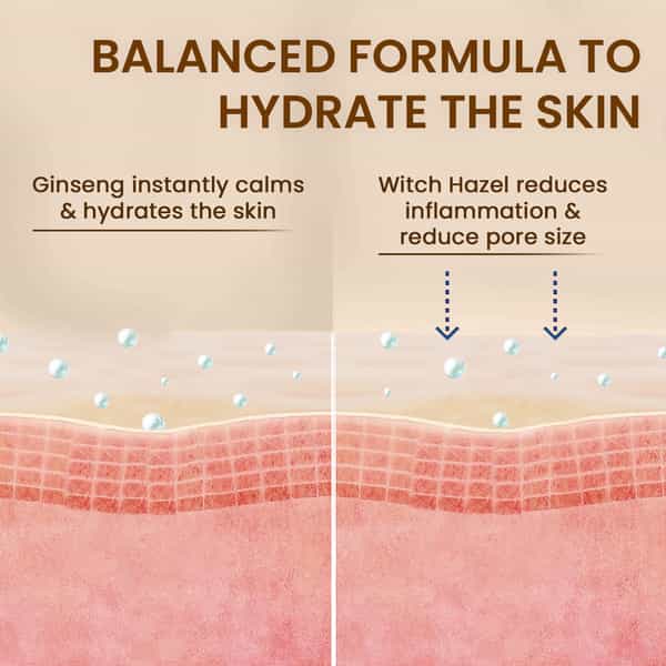 The Skin Story Ginseng Face Mist | 100Ml