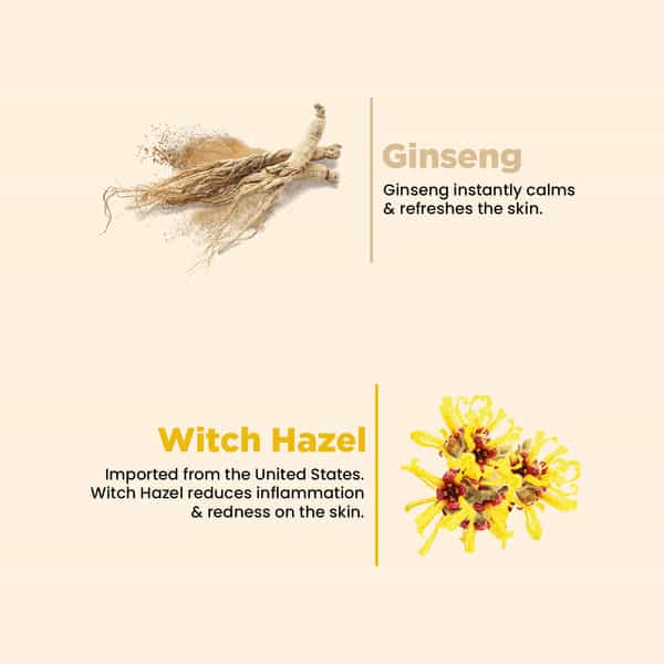 The Skin Story Ginseng Face Mist | 100Ml