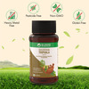 Dr. Vaidya's Shuddha Triphala Tablet 60S P3