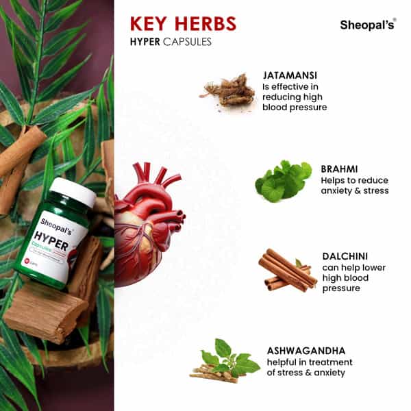 Sheopal's Super Combo Thyrobic 60Capsule For Manage Thyroid & Hyper 60Capsule For Hypertension