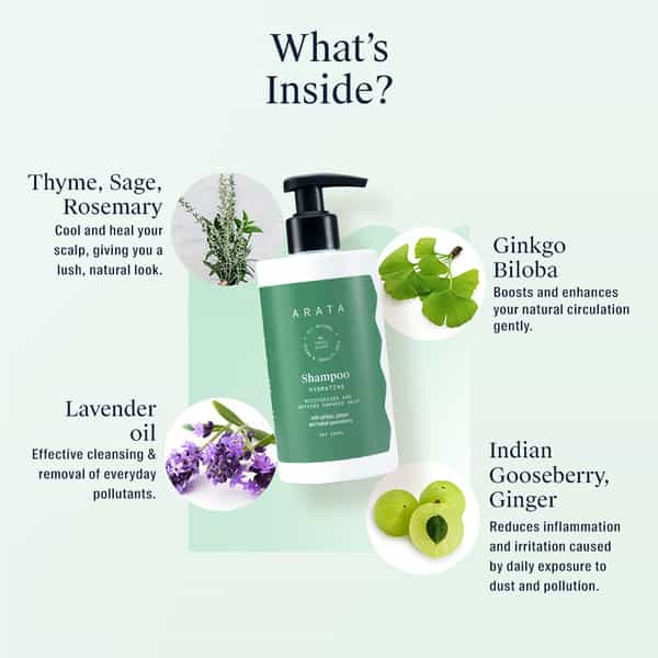 Arata Natural Hydrating Hair Shampoo With Ginkgo Ginger & Indian Gooseberry -300 Ml