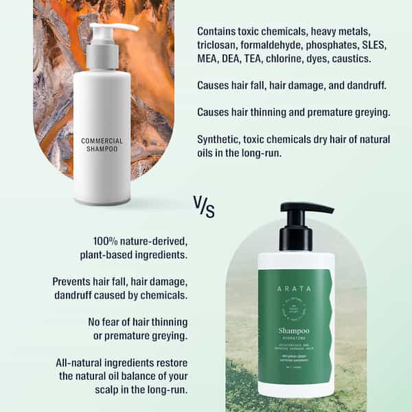 Arata Natural Hydrating Hair Shampoo With Ginkgo Ginger & Indian Gooseberry -300 Ml