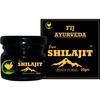 Fij Ayurveda Pure Ayurvedic Shilajit/Shilajit Resin (Semi Liquid) - 60gm (Pack Of 3)