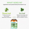 Truhabit Bronchicure Herbal Lung Care Syrup For Asthma | Bronchitis & Breathing - 100Ml