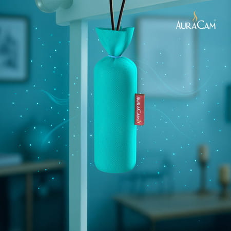 Auracam Gold Standard Camphor Pod Cone (Original) - Set Of 2