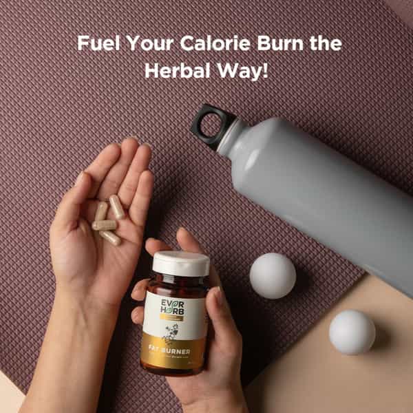 Everherb Fat Burner - Natural Herbal Blend - Accelerates Calorie Burning - 60 Caps (By Pharmeasy)
