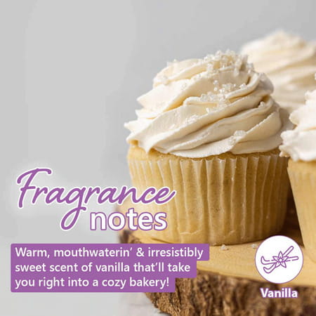 Plum Bodylovin' Vanilla Vibes Eau De Parfum 50 Ml