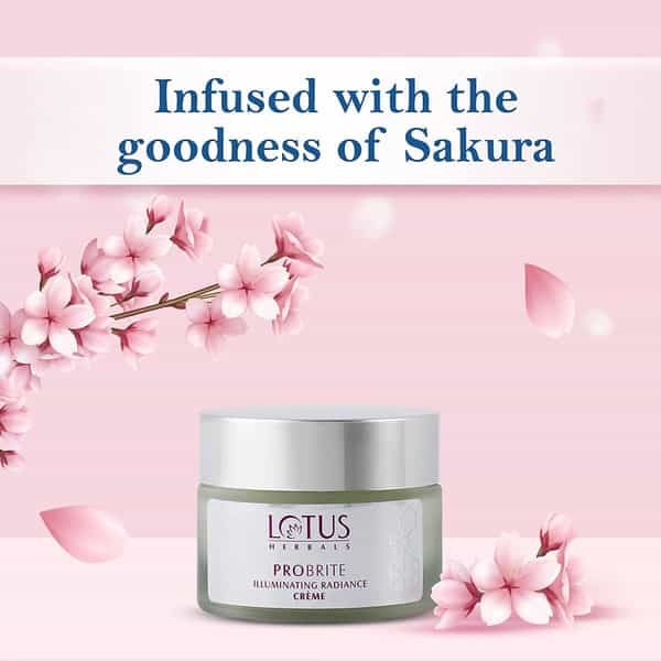 Lotus Herbals Probrite Illuminating Radiance Night Cream 50G