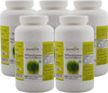 Ayurvedic Life Wheatgrass 500 Tablet (Pack Of 5)