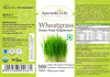 Ayurvedic Life Wheatgrass 500 Tablet (Pack Of 5)