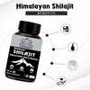 Earth King Himalayan Shilajit Capsule | Long Time, Performance Booster & Stamina - 500Mg 30 Capsules