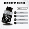 Earth King Himalayan Shilajit Capsule | Long Time, Performance Booster & Stamina - 500Mg 30 Capsules