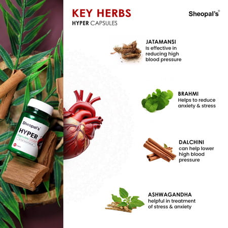 Sheopal'S Super Combo Herbal Diabdex 30capsule For Blood Sugar & Hyper 60capsule For Hypertension