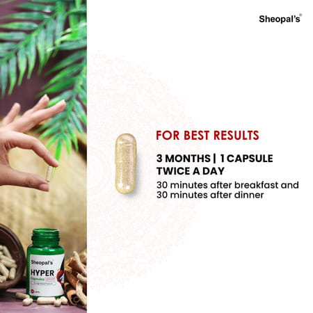 Sheopal'S Super Combo Herbal Diabdex 30capsule For Blood Sugar & Hyper 60capsule For Hypertension