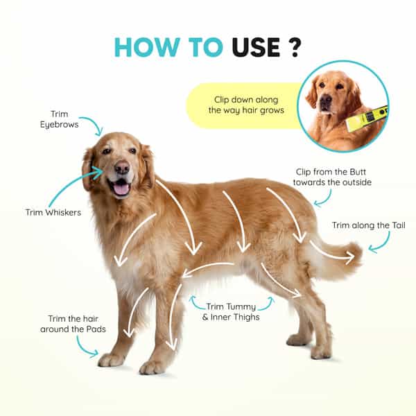 Letsshave Ez-Wizzy Pet Trimmer For Dogs & Other Hairy Animals