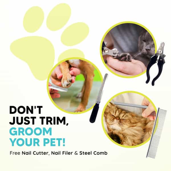 Letsshave Ez-Wizzy Pet Trimmer For Dogs & Other Hairy Animals