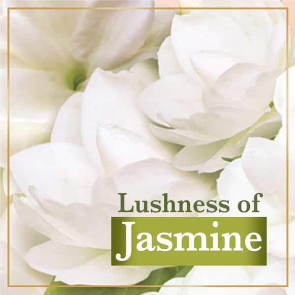Lux Velvet Touch Jasmine And Almond Oil Soap Bar 3 X 150 Gm