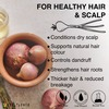 Soulflower Herbal Onion Hair Growth & Hair Fall Control Oil 220Ml