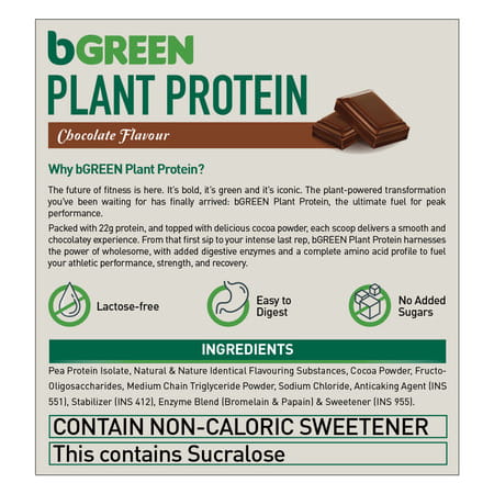 Bgreen By Healthkart Vegan Plant Protein Powder (Chocolate | 500g | 13 Servings)