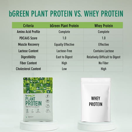 Bgreen By Healthkart Vegan Plant Protein Powder (Chocolate | 500g | 13 Servings)