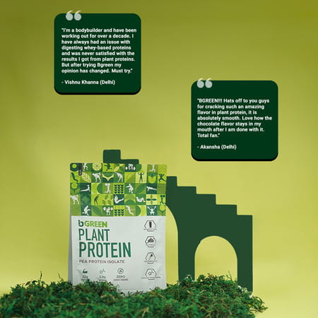 Bgreen By Healthkart Vegan Plant Protein Powder (Chocolate | 500g | 13 Servings)