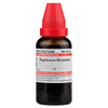 Dr. Willmar Schwabe India Equisetum Hyemale Mother Tincture Q 30 Ml