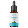 Aravi Organic Peppermint Essential Oil - Refreshes & Energizes | Promotes Healthy Scalp & Hair 15Ml