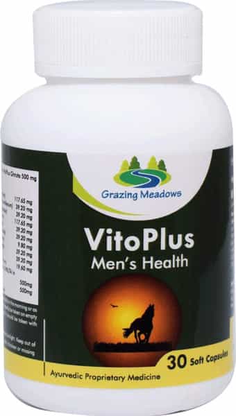 Grazing Meadows Vito Plus 30 Capsules Ayurvedic Herbal Formulation For Men (Pack Of 4)